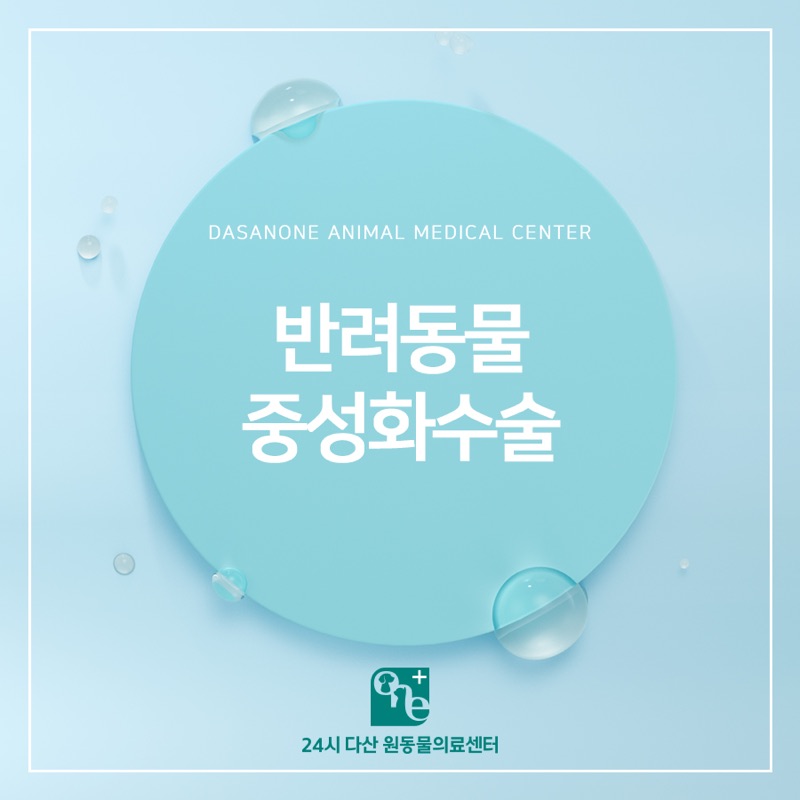 반려동물 중성화 수술이 꼭 필요한 이유