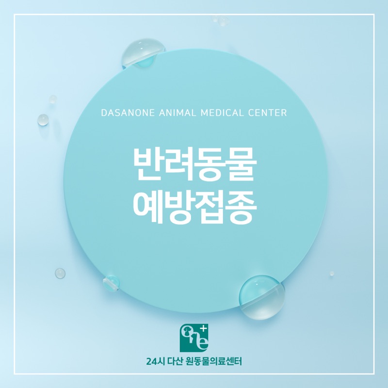 우리 아이 건강 첫 단추, 반려동물 필수 예방접종 가이드