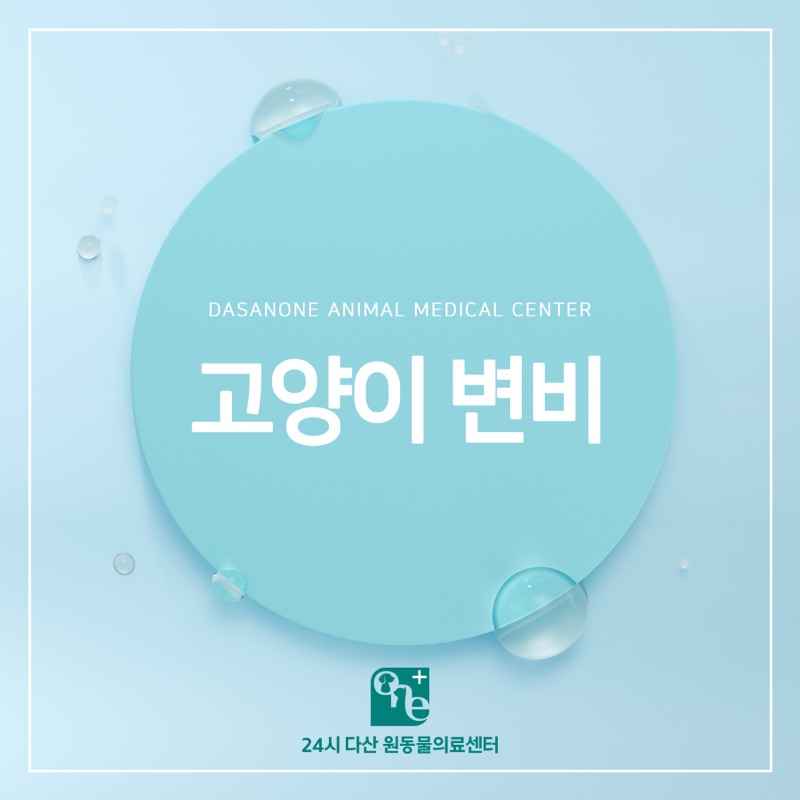 고양이 변비, 방치하면 위험합니다