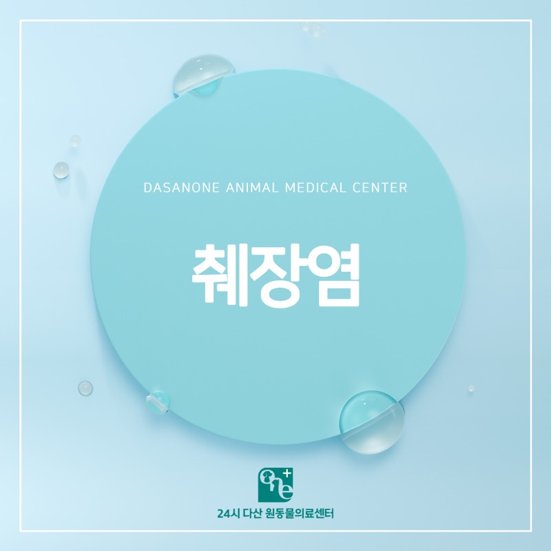 반려동물 췌장염, 제대로 알고 계시나요?