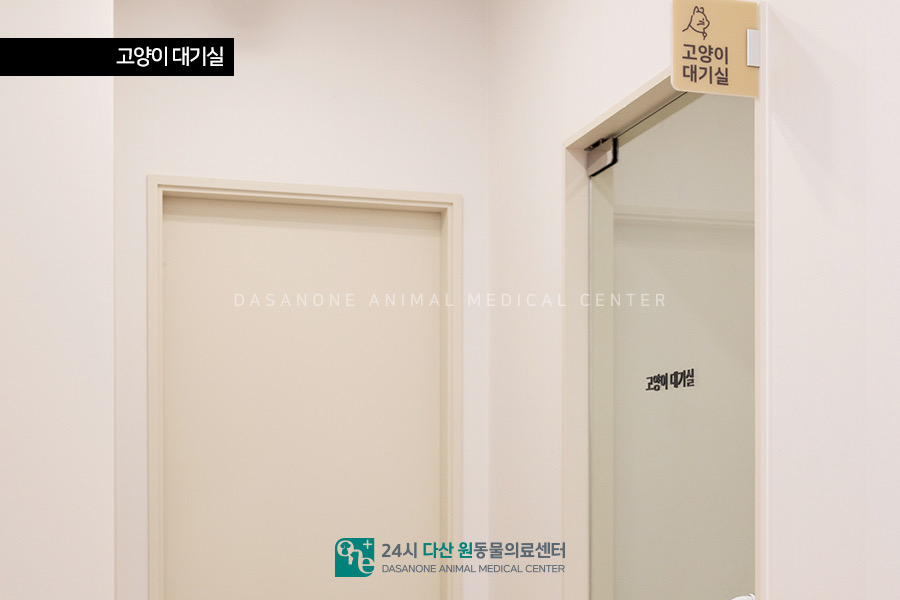 고양이 전용 대기실