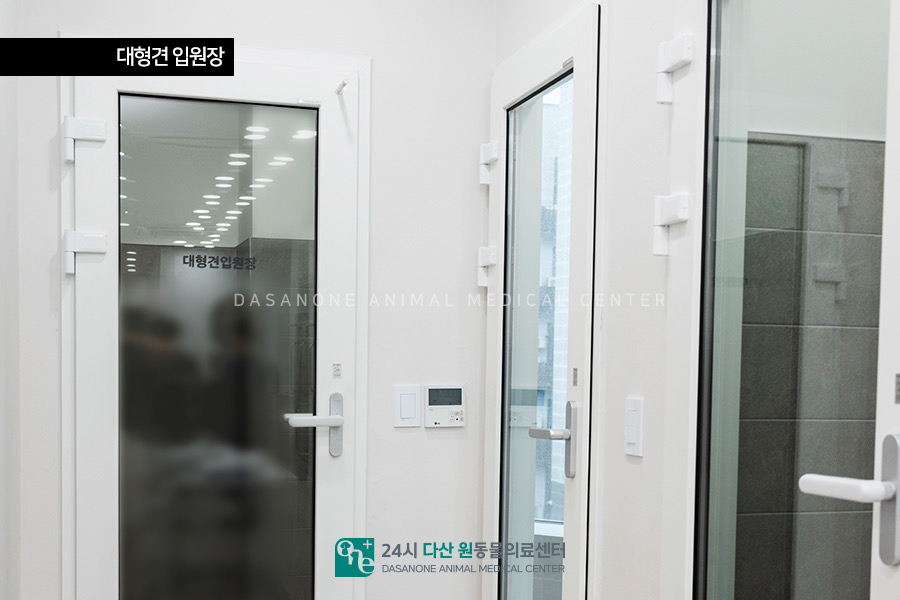 대형견 전용 입원장