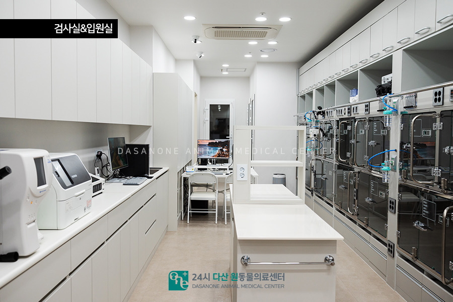 강아지 처치실·입원실